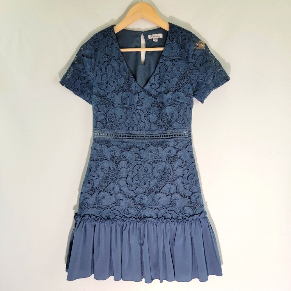 Two Sisters THE LABEL Gray Lace Bodice Party Dress Sz 4 Vneck Short Sleeves Line